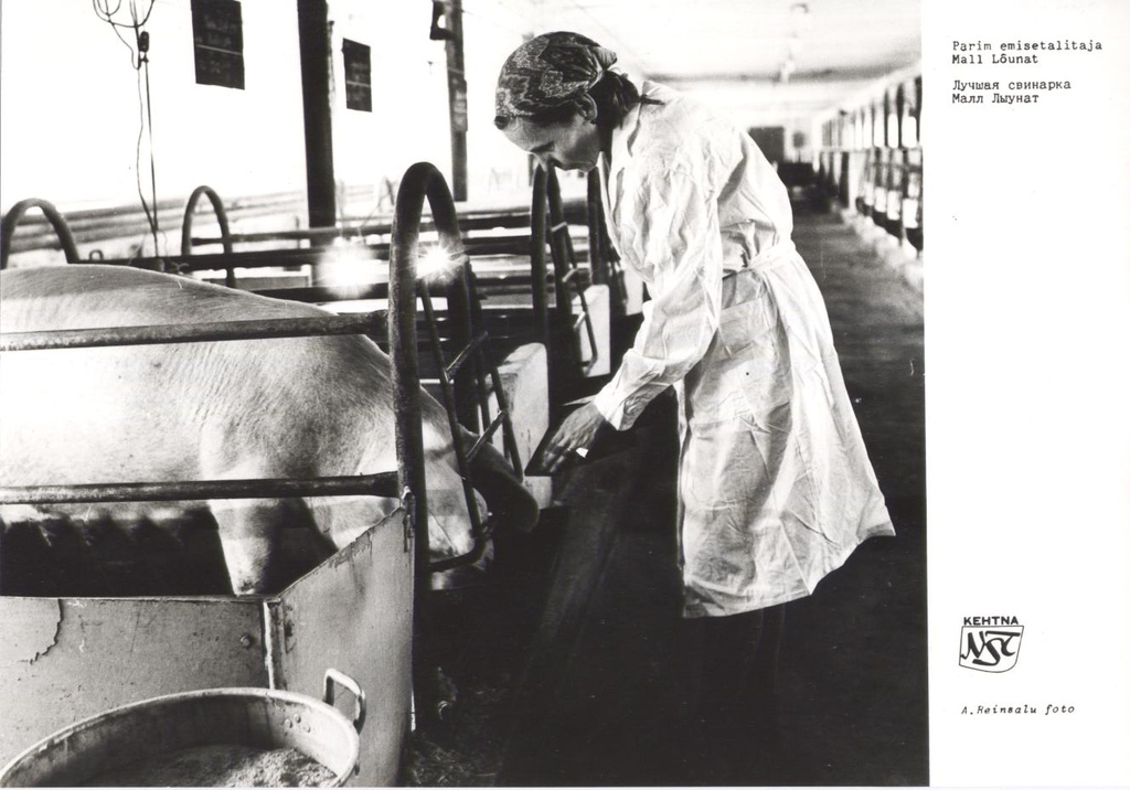 Kehtna Näidissovhoostehnikumi parim emisetalitaja Mall Lõunat