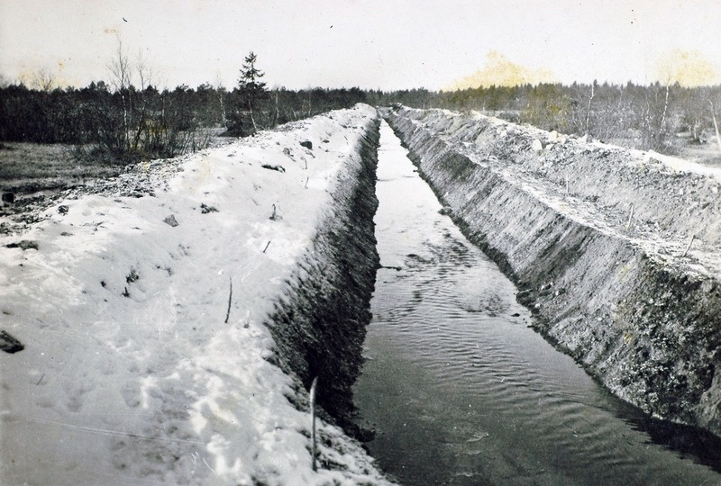 Adila Sooparanduse Selts. Raadiku soos hilissügisel