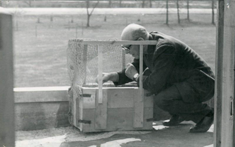 Väsimatu katsetaja E.Haller