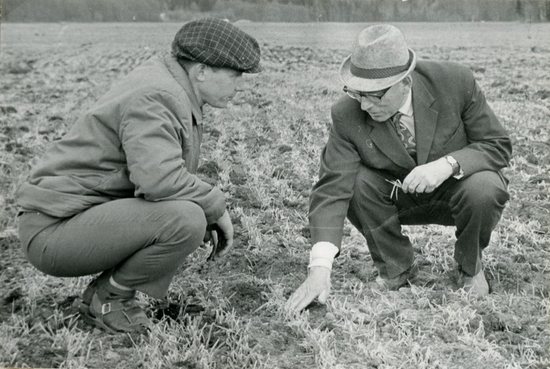 Tori sovhoosi peaagronoom A.Tõnissoo ja prof. E.Haller orase kahjustusi takseerimas