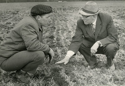 Tori sovhoosi peaagronoom A.Tõnissoo ja prof. E.Haller orase kahjustusi takseerimas  similar photo