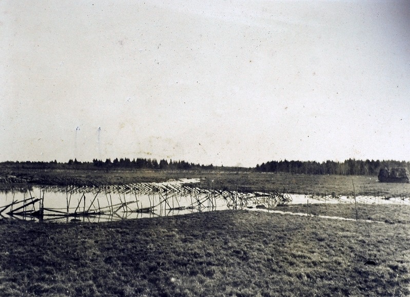 Adila Sooparanduse Selts.
Allikas Mikuri Hallikverele ja Mätiku kuristikku viivate soontega