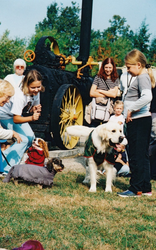 Sügisnäitus ja Tõuloom 2002 Eesti Põllumajandusmuuseumis, koerte kostüümikarneval