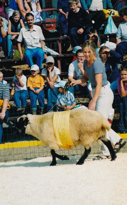 Sügisnäitus ja Tõuloom 2002 Eesti Põllumajandusmuuseumis