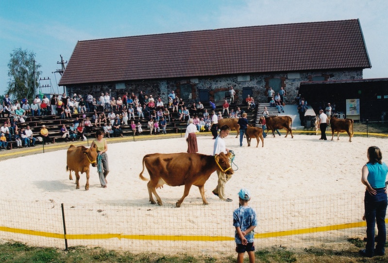 Sügisnäitus ja Tõuloom 2002 Eesti Põllumajandusmuuseumis, tõuloomade demonstratsioon