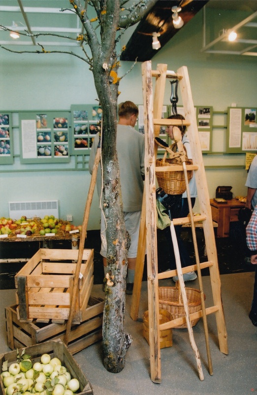Sügisnäitus ja Tõuloom 2002 Eesti Põllumajandusmuuseumis, ajutine näitus "Puuviljad-luuviljad"