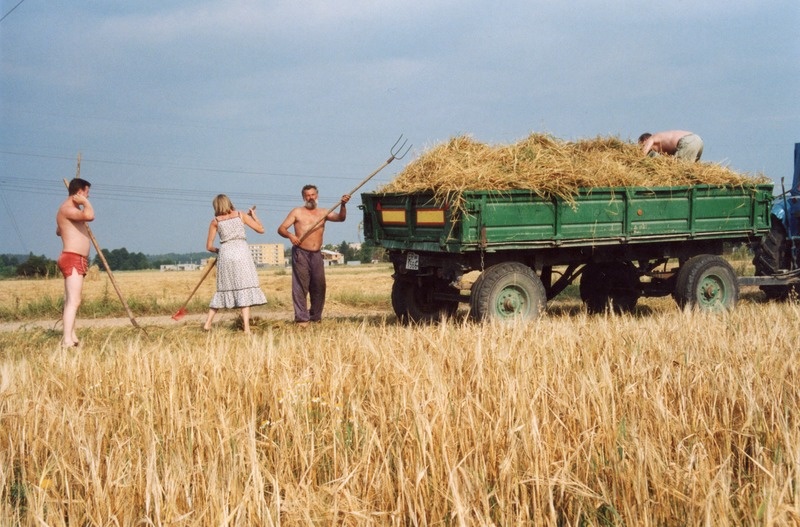 A. Kass, E. Pärn ja M. Mänt vilja traktorile laadimas OÜ Erika Farm põllul
