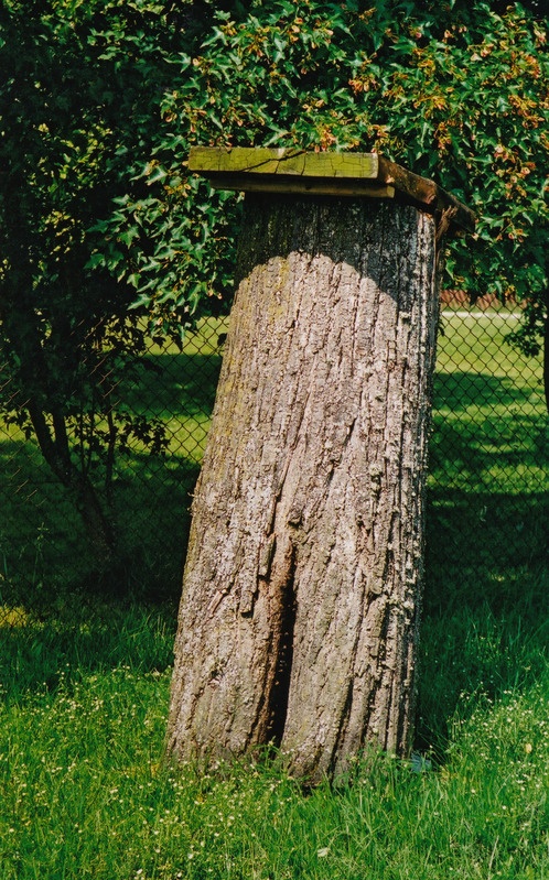 Mesinduspäev Eesti Põllumajandusmuuseumis 30. juunil 2001.a. Mesilasperega pakktaru