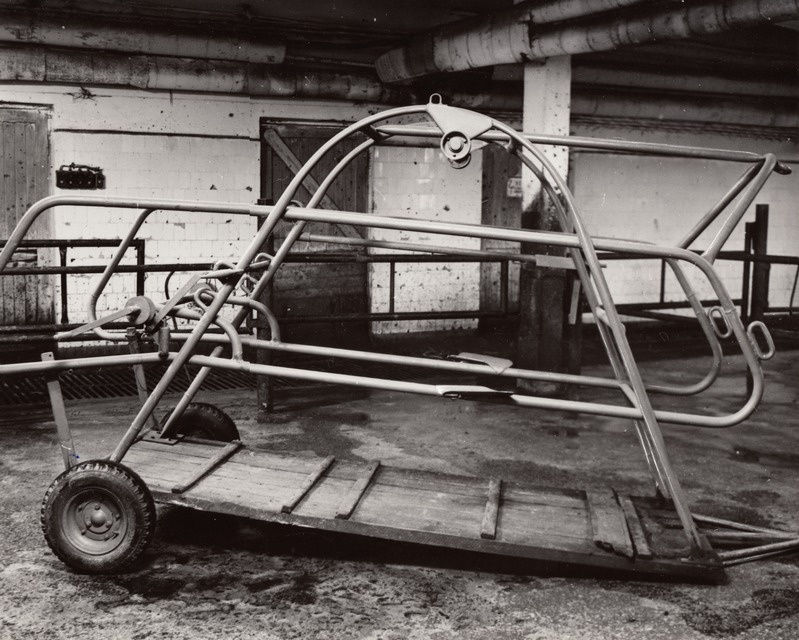 Viljandi näidissovhoosis täiustatud veisefikseerimispukk