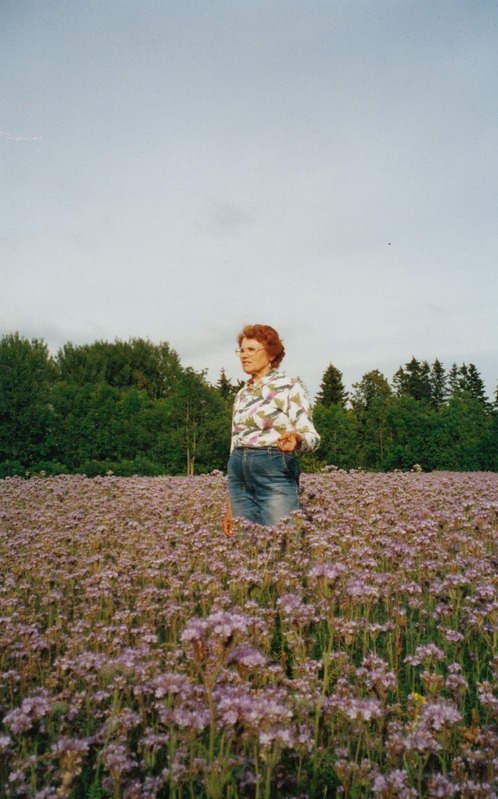 Kärra mesindustalu keerispea põllul perenaine Leili Suits