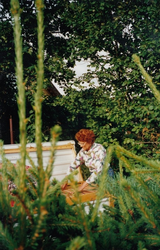 Kärra mesindustalu perenaine Leili Suits mesilasi vaatamas