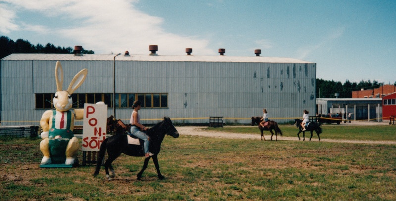 Rahvusvahelised ratsamängud Tallinna Ratsaspordibaasis 14.-16.juuli 1995