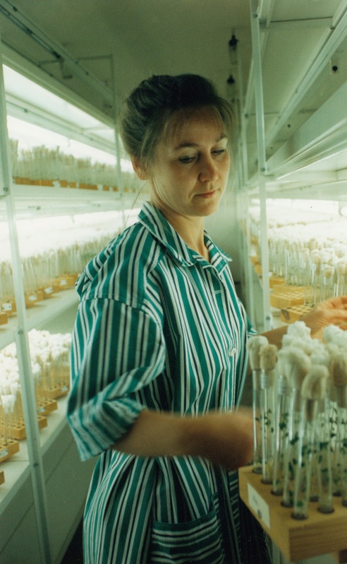 Teaduskeskuse EVIKA teadusdirektor Katrin Kotkas