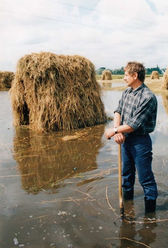 Palju muret tegi 1998. a. suvi Lüganuse valla Tammikoja talu peremehele Juhan Pärtnale