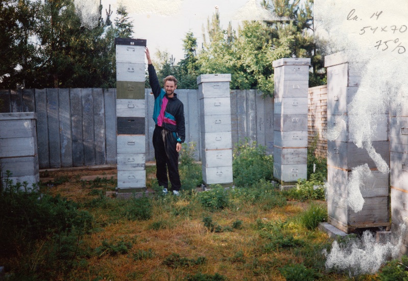 Korpustaru Taani mesilas