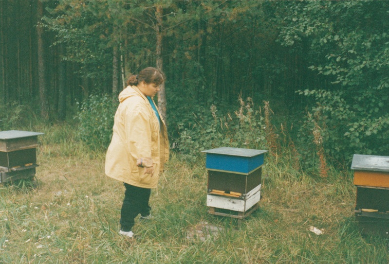 Mikkeli Põllumajanduskeskuse mesinduskonsulent Mirja Nykänen peab oma mesilasi metsamaadel