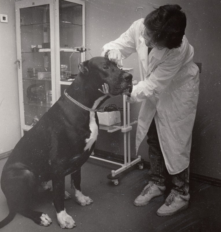 Harju Veterinaarkeskuse veterinaararst Kärt Ojamaa patsiendiga
