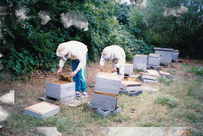 Mesilasperede läbivaatus. Tagaplaanil taani lamavtaru, esiplaanil Olustvere kooli vahetusõpilane Taanis Aimar Lange, tema taga praktikajuhendaja Niels Bak Pedersen
