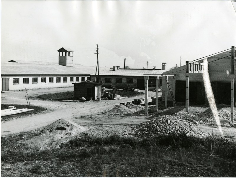 Kaarma kolhoosi Piila farm