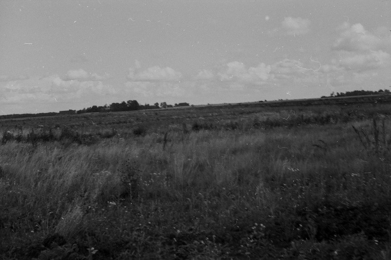 Vaade Mõisimaa külale (Lihula raj.). Vaade edelast