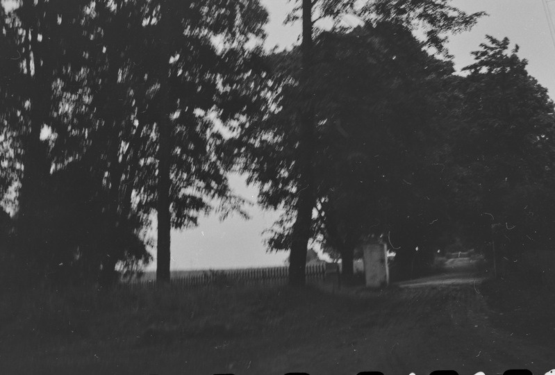 Abja mõisa sissesõidutee ja värav (vaade läänest)