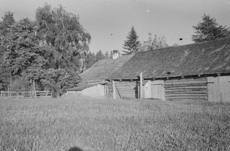 Aburi küla. Rosside ja Krihvlide talu, kus varjasid end 1. detsembri riigipöördekatsest osavõtnud