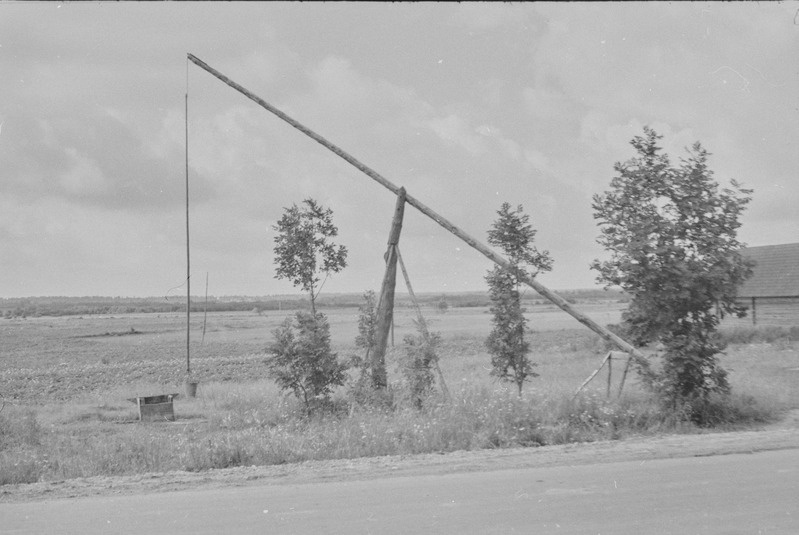 Fotonegatiiv