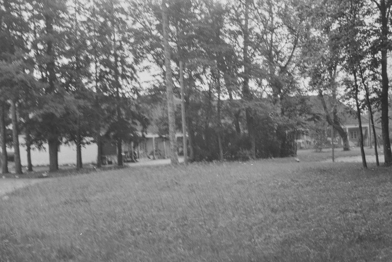 Õisu mõis. Mõisa sõiduhobuste tall