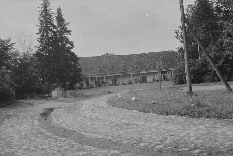 Õisu mõis. Mõisa sõiduhobuste tall