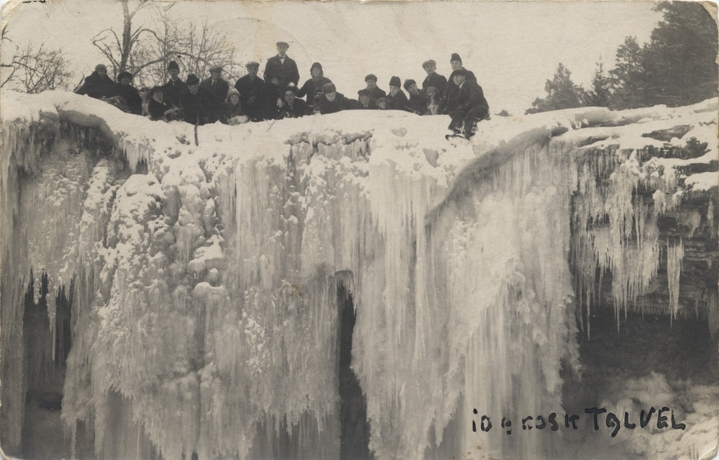 Ida cock in winter