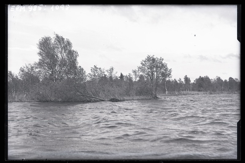 Saadjärv kevadel