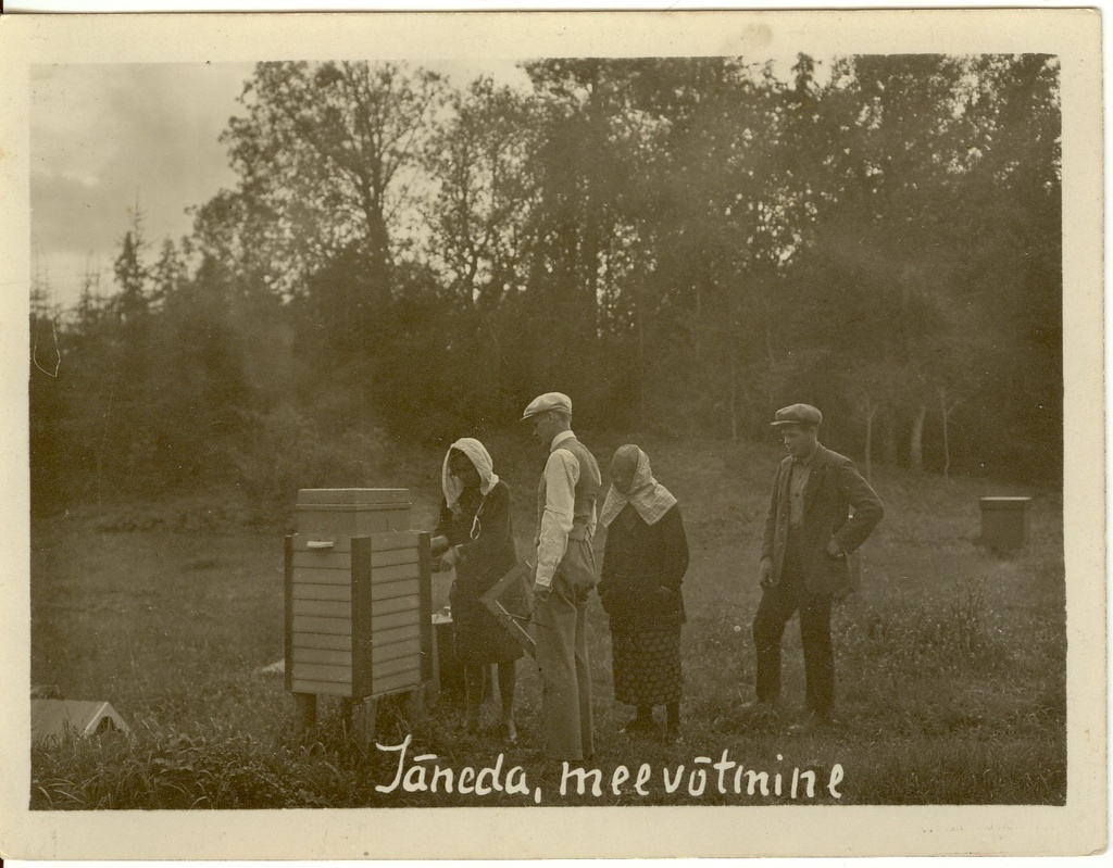 meevõtmine Jänedal