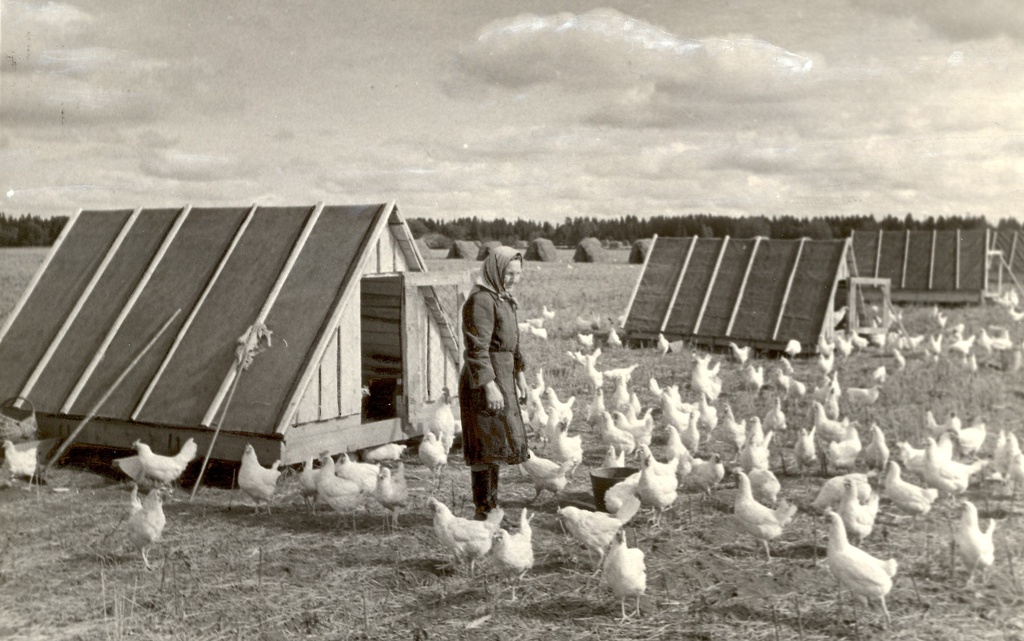 foto, linnutalitaja A.Retla