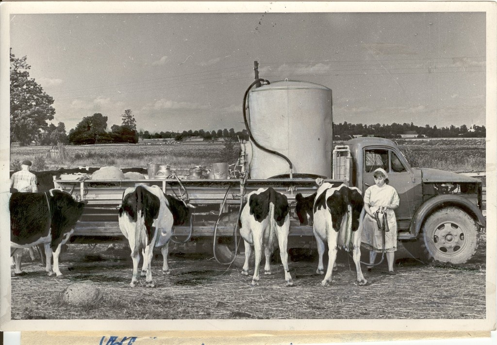 foto, lüps Ühisjõus