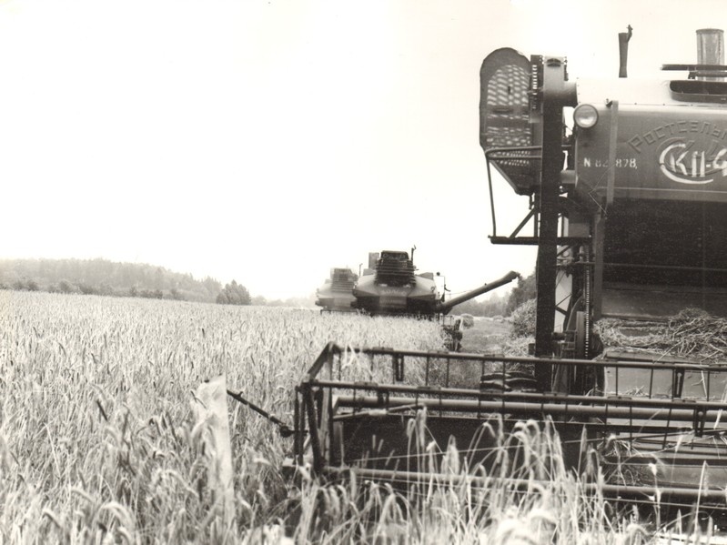 Viljalõikus "9.Mai" kolhoosis 1978.a.