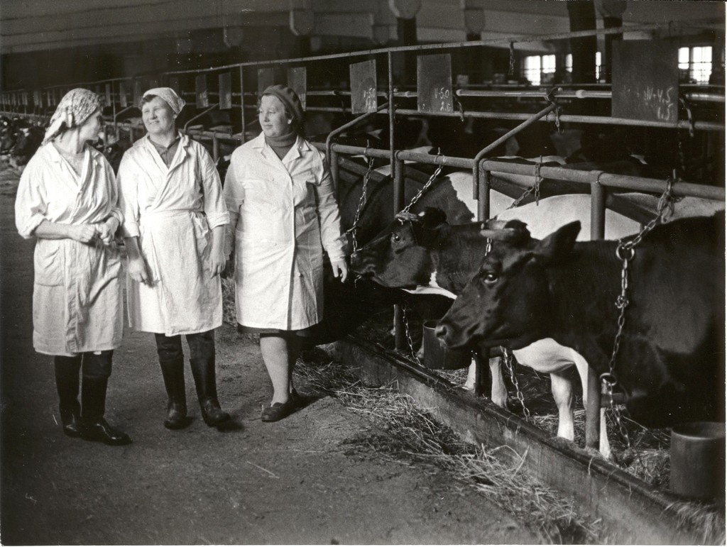 foto, "9.Mai" farmis