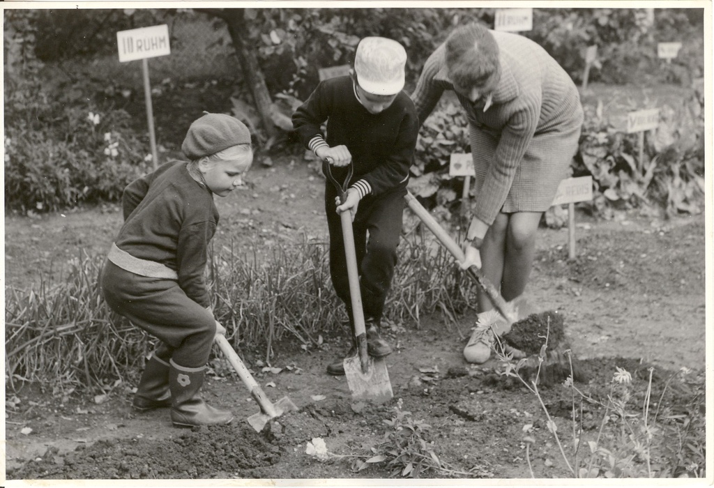 Türi lastepäevakodu "Nurmenukk"