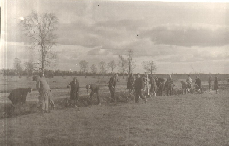 klaasnegatiiv, puude istutamine staadionile 1930.a.