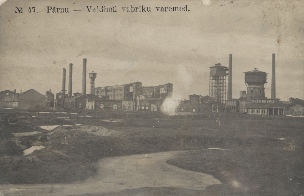 Ruins of the Pärnu Valdhof factory