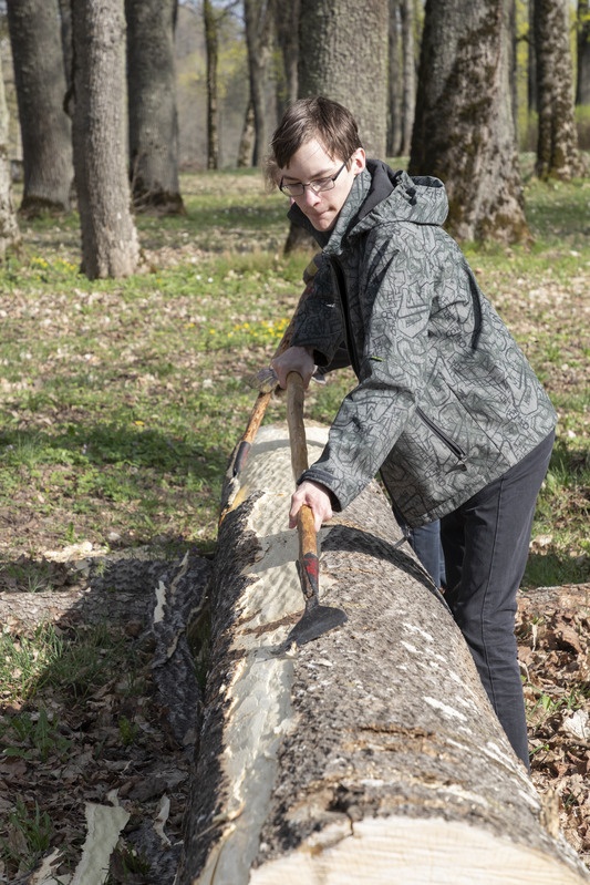 Haavapalgi koorimine