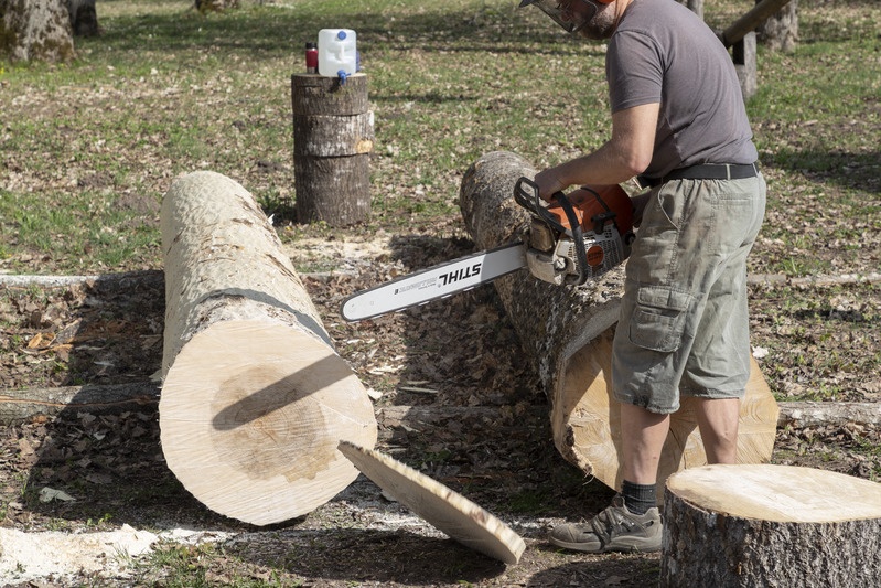 Haavapaku kuivanud ots saetakse maha