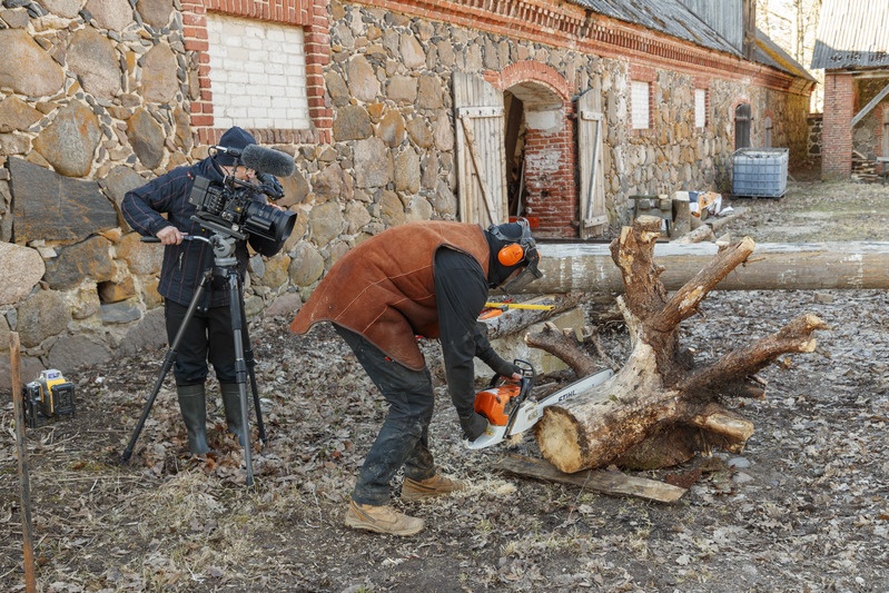 Lootsiku kaarte väljasaagimine kuuse juurpuust