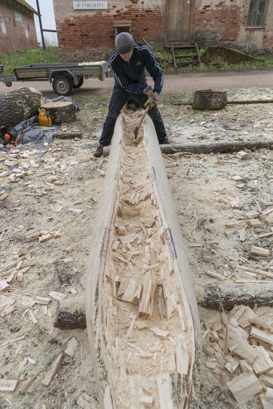 Haabja sisemuse õõnestamine kirvega