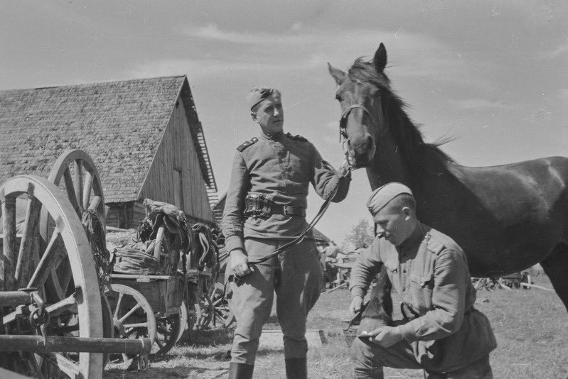 8. Eesti Laskurkorpuse suurtükiväelased hobust rautamas