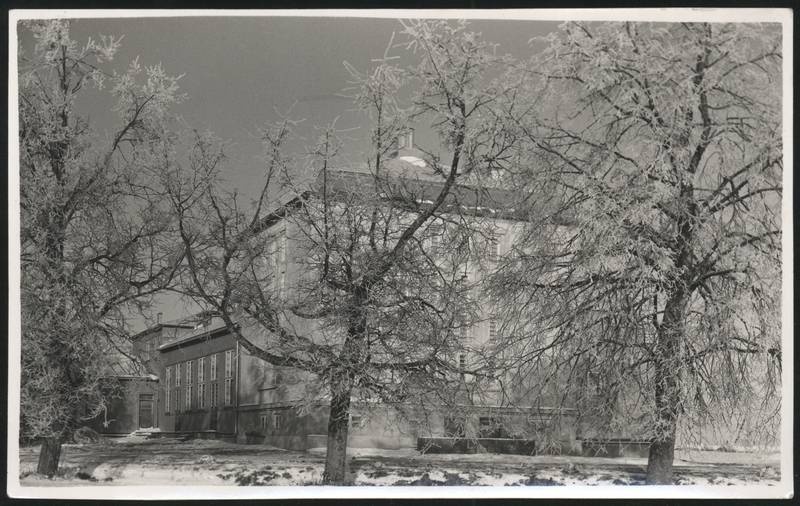 Postcard, New folk house, winter