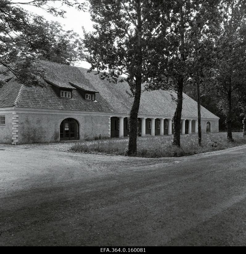 Trahter “Kuld Lõvi” Audrus.