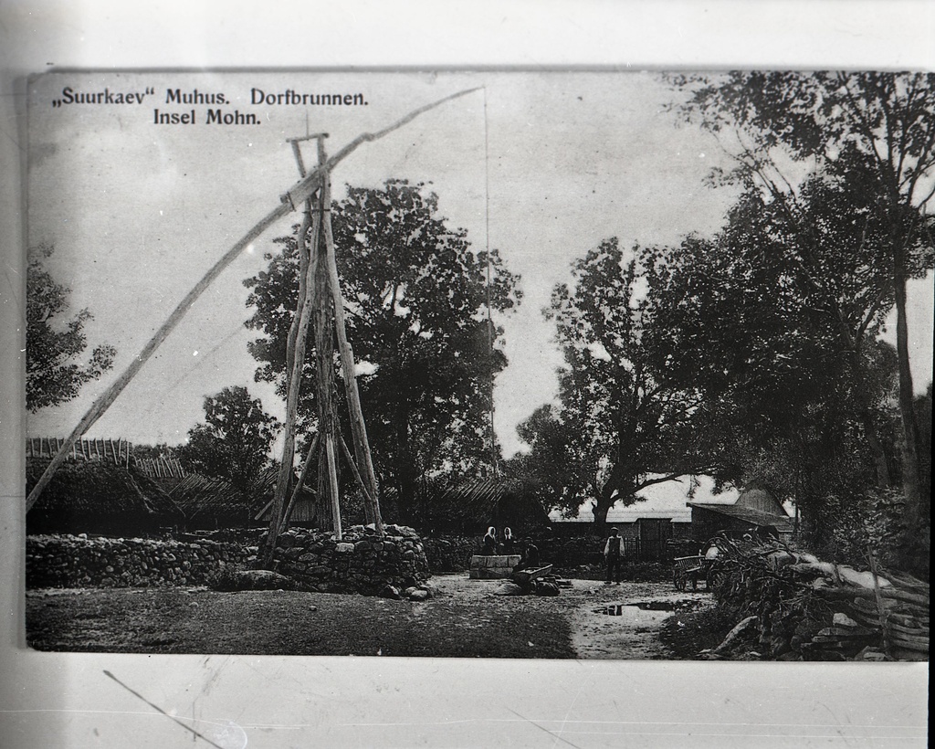 Suurkaev Muhus Igakülas.