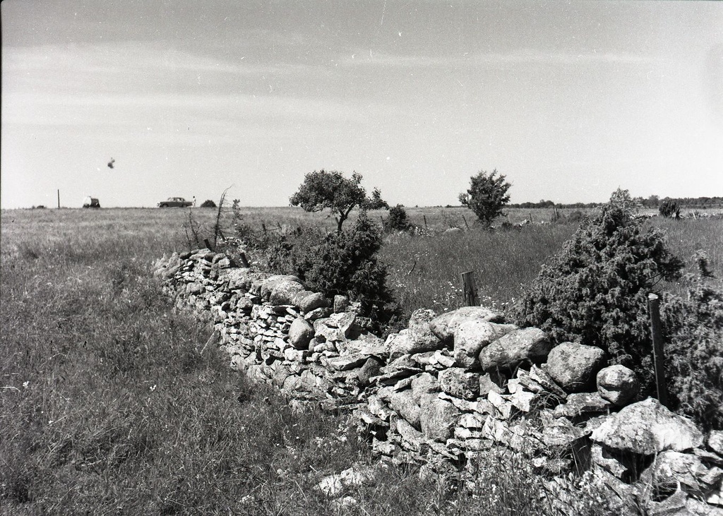 Saaremaa, kiviaed Lümanda lähedal