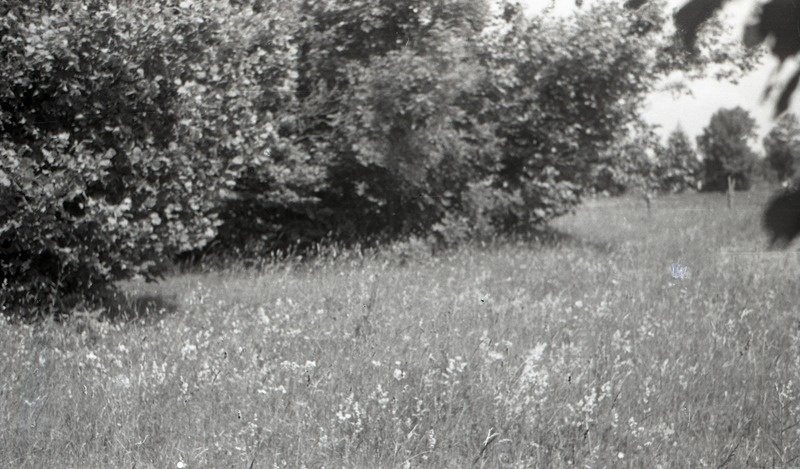 Kingissepa rajooni kultuurimälestis: kivikalmed, muistsete põldude jäänused Kihelkonna kn Kuremetsa küla. I at. II pool e.m.a.- II at.