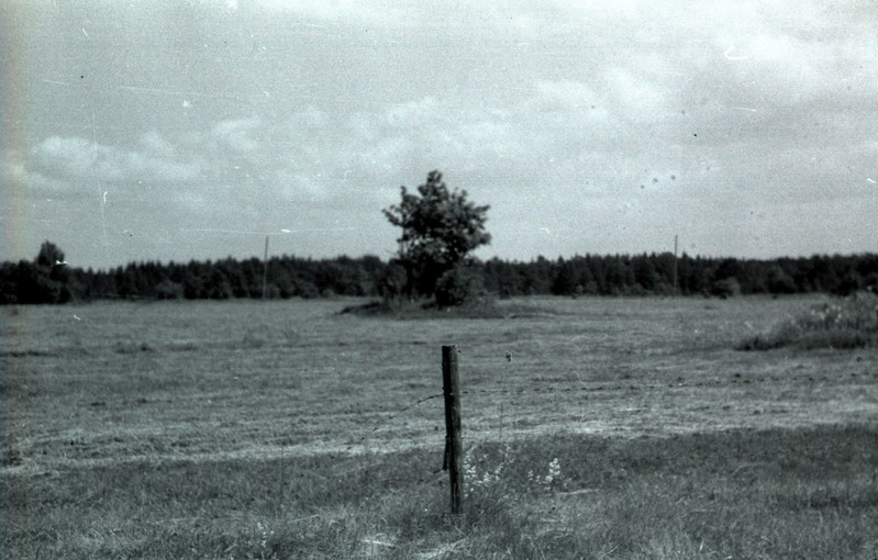 Kingissepa rajooni kultuurimälestis: kivikalmed Kihelkonna kn Liiva küla. I at. II pool e.m.a.- I at. algus.